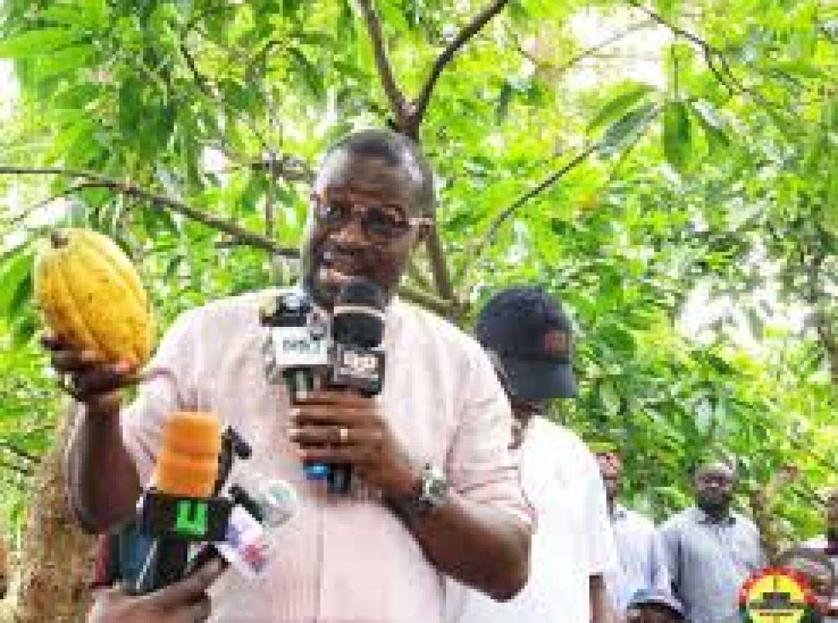 Would President Mahama have reduced cocoa prices if this were an election year ? – Annoh Dompreh asks